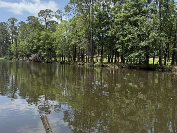 9731 Clarke Ridge Road, Foley, AL 36535