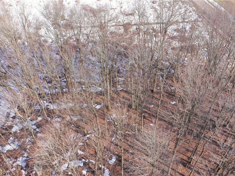 Oh-7 , Andover, OH 44003 Photo 10