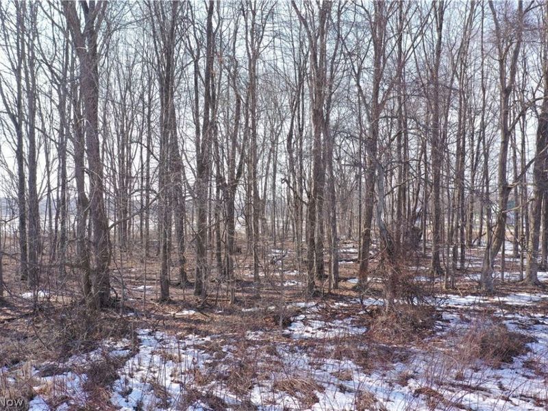 Oh-7 , Andover, OH 44003 Photo 13