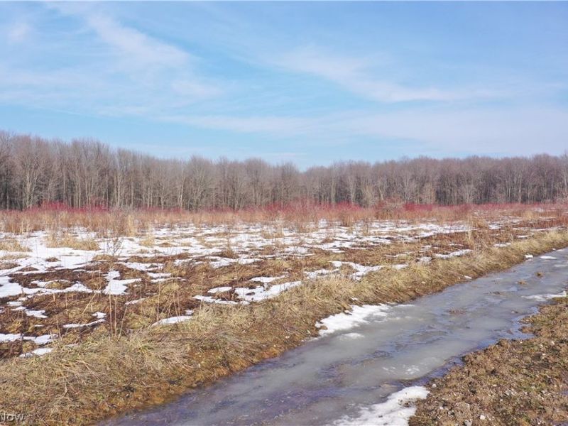 Oh-7 , Andover, OH 44003 Photo 15