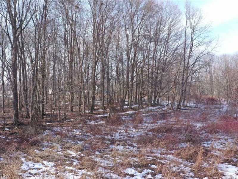 Oh-7 , Andover, OH 44003 Photo 2