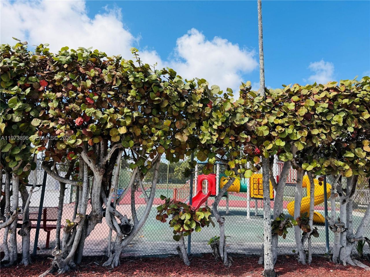 4920 NW 79th Ave , Unit 204, Doral, FL 33166 Photo