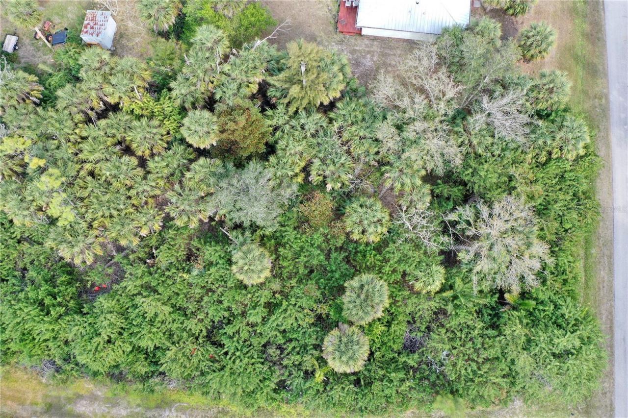 3504 Sleepy Hollow Lane, Punta Gorda, FL 33950 Photo