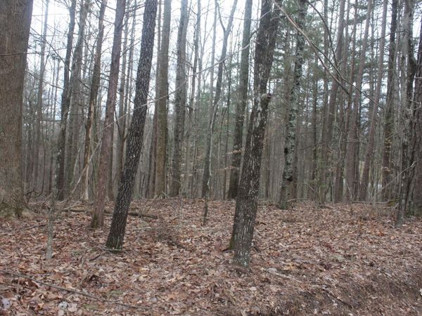 00 Mcgregor Lane, McMinnville, TN 37110