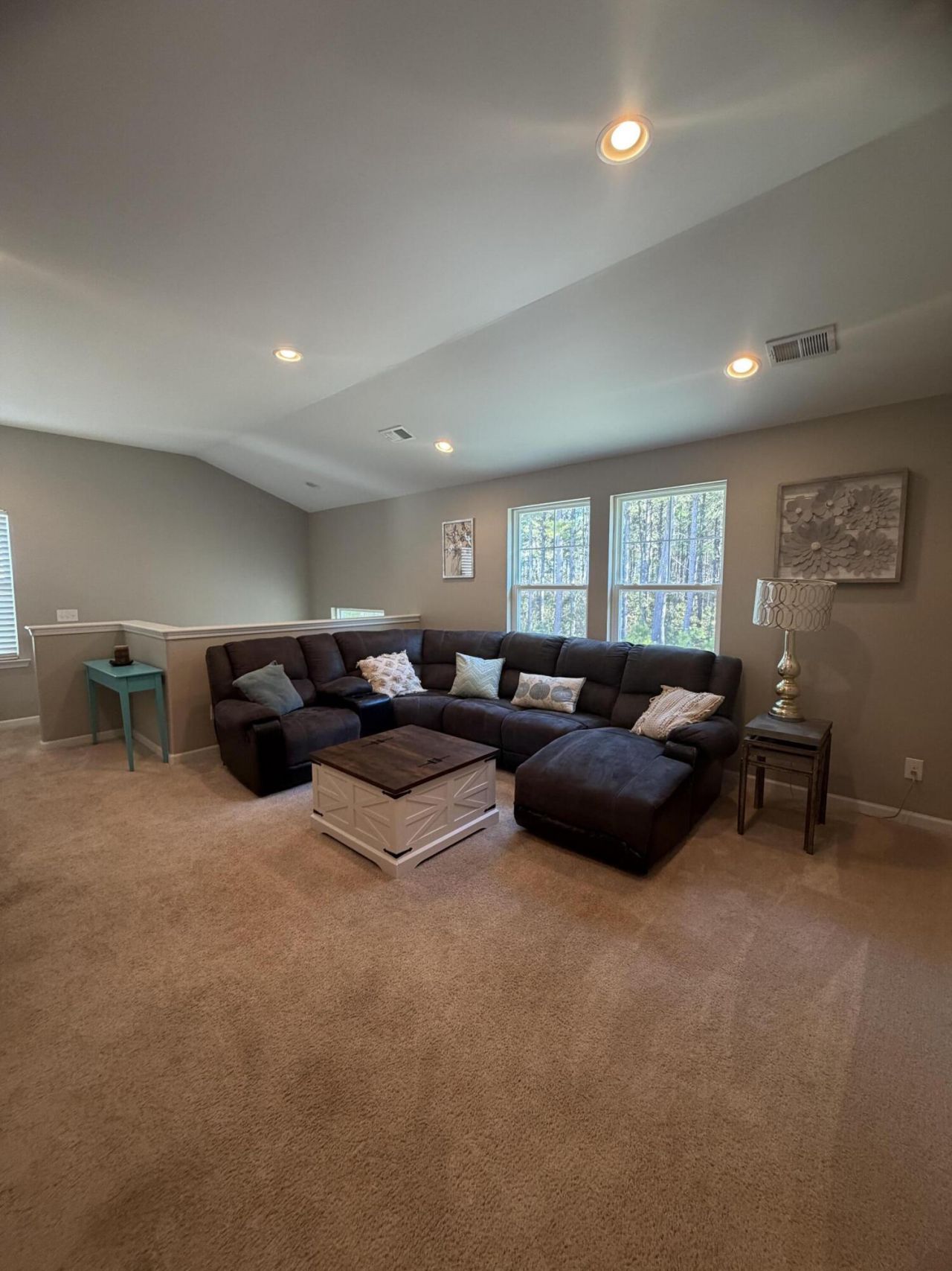 419 Sanctuary Park Drive Photo 37