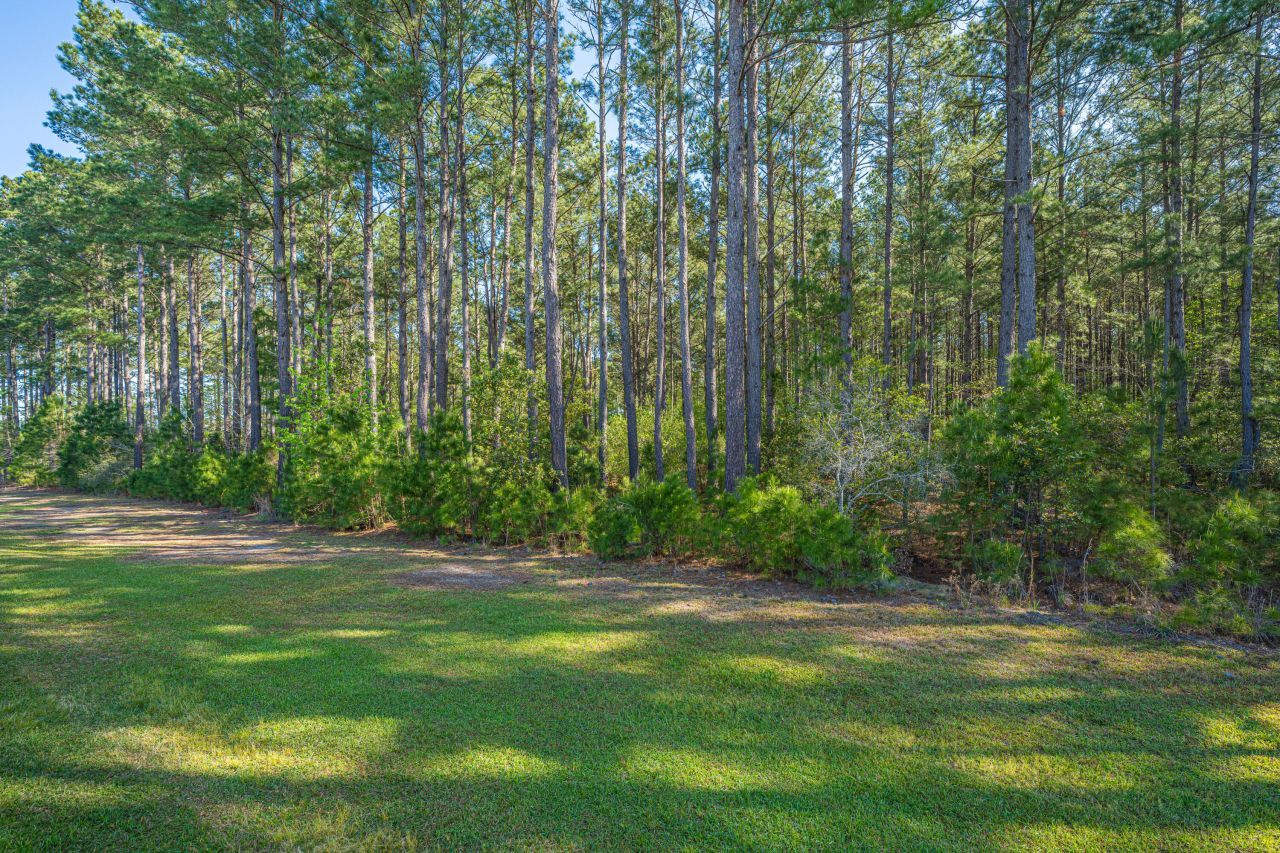 419 Sanctuary Park Drive Photo 45