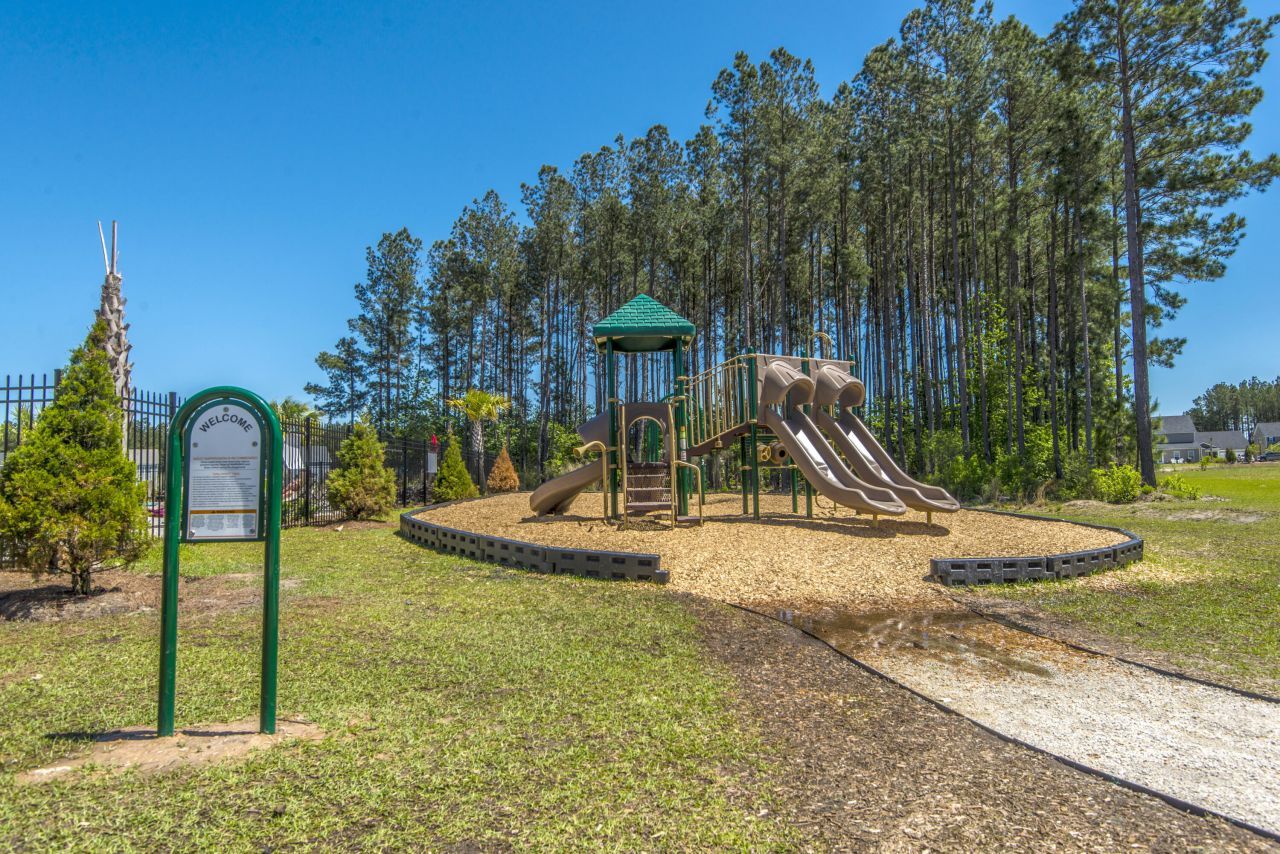 419 Sanctuary Park Drive Photo 46