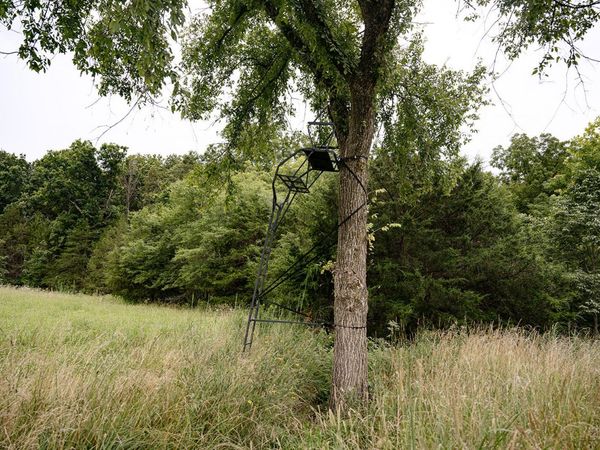 000 County Road 443 , Cross Timbers, MO 65634