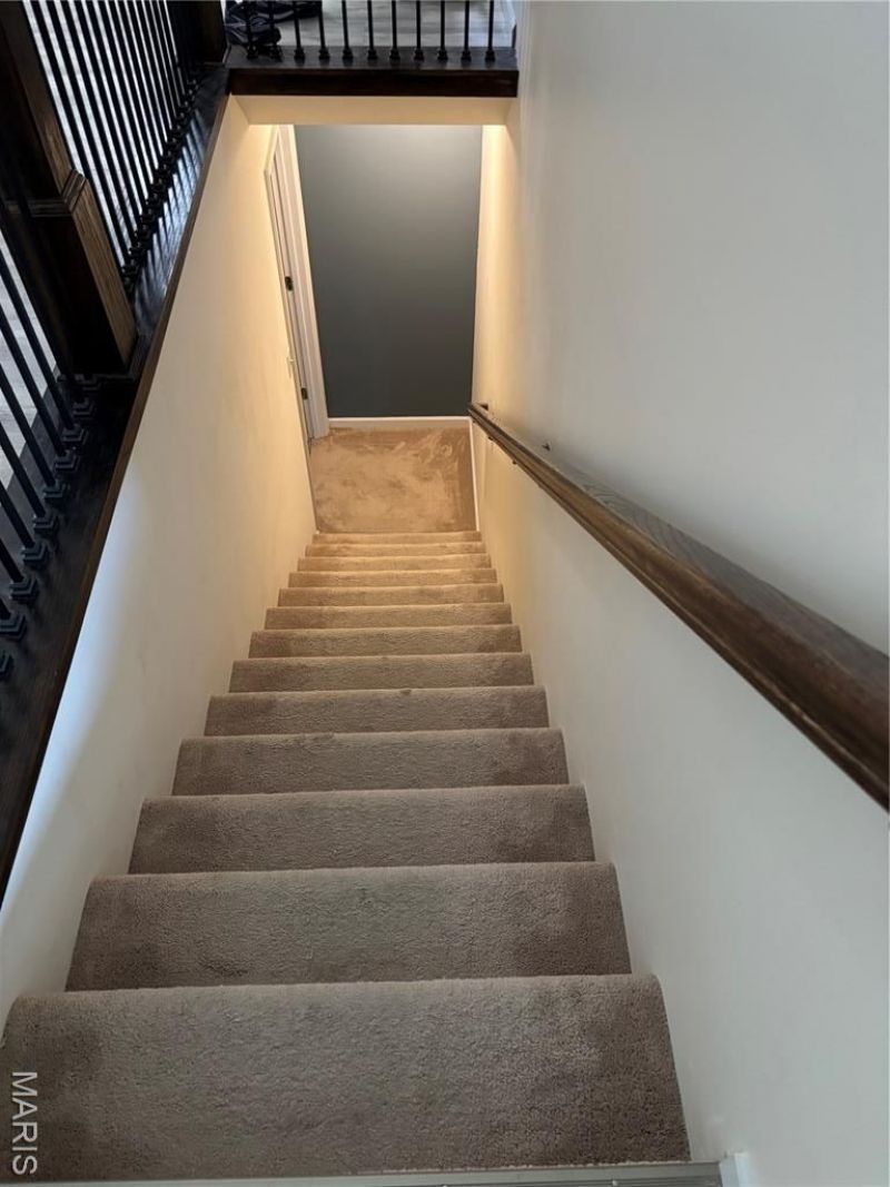 317 Palisades Court , Orchard Farm, MO 63301 Main Photo