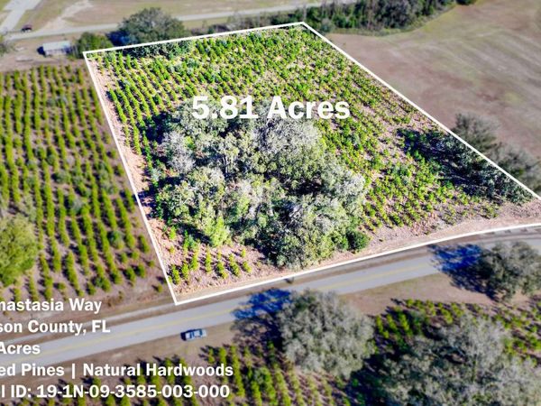 SW ANASTASIA WAY, Madison, FL 32340