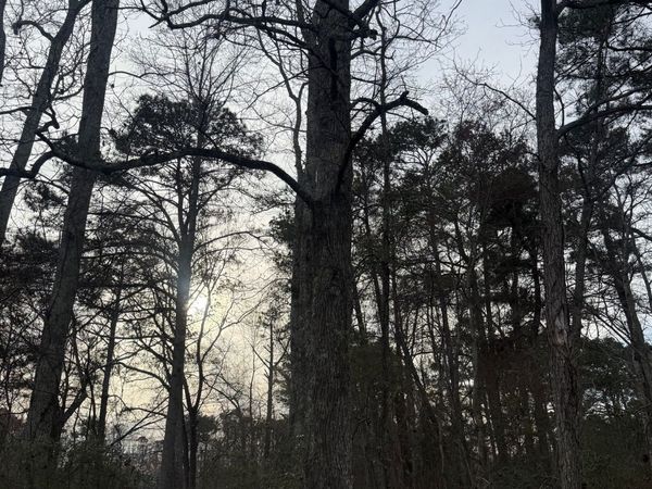 158 Alexander Road, Mcdonough, GA 30253