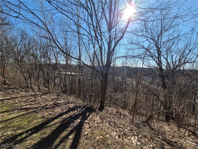 1093 E Schaaf Road , Independence, OH 44131 Photo 33