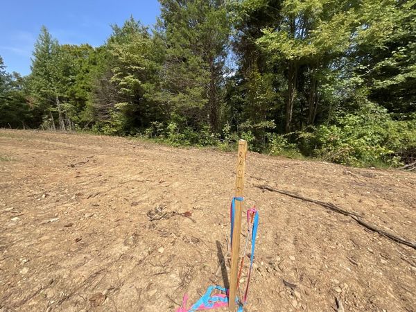 5 Lyle Hollow Rd , Palmyra, TN 37142