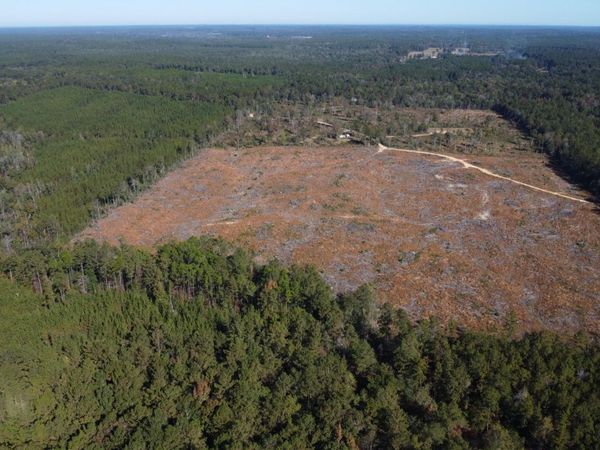 Underwood Ball Road, Leakesville, MS 39451