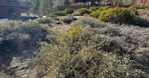 857 Lake Tahoe Blvd, South Lake Tahoe, CA 96150 Photo