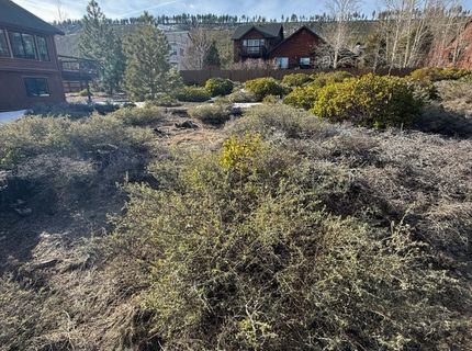 857 Lake Tahoe Blvd, South Lake Tahoe, CA 96150 Photo