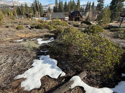 857 Lake Tahoe Blvd, South Lake Tahoe, CA 96150 Photo