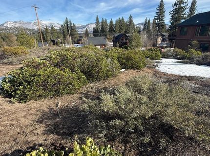 857 Lake Tahoe Blvd, South Lake Tahoe, CA 96150 Photo