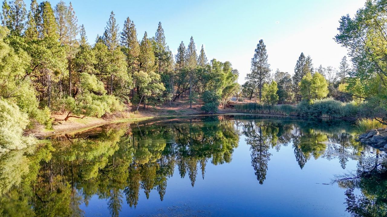 5892 Mckinley Dr, Garden Valley, CA 95633 Photo