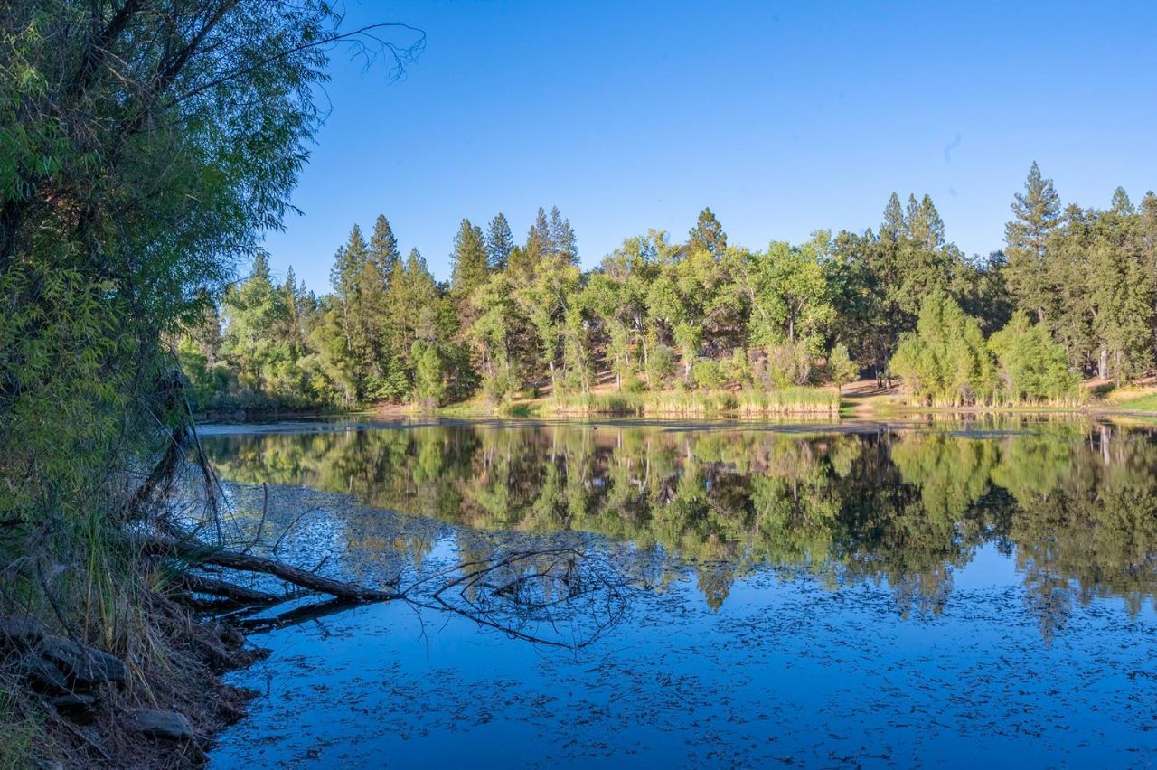 5892 Mckinley Dr, Garden Valley, CA 95633 Photo