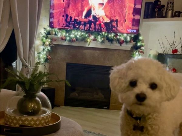 8692 9th, Unit 29, Rancho Cucamonga, CA 91730