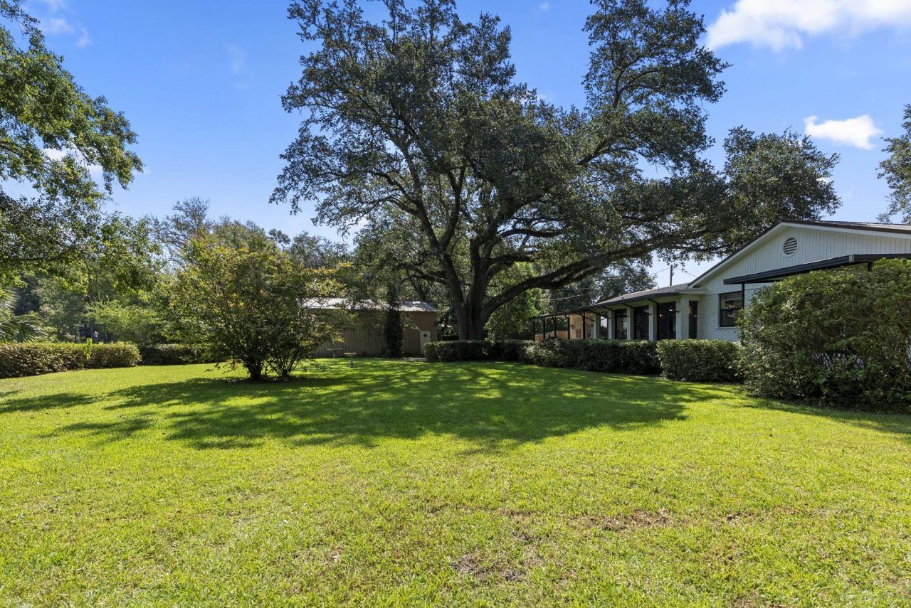 480 Lake View Drive, Wewahitchka, FL 32465 Photo