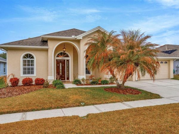 18810 FOREST GLEN COURT, TAMPA, FL 33647