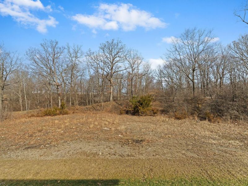 381 Rochdale Run, Delaware, OH 43015 Photo 53