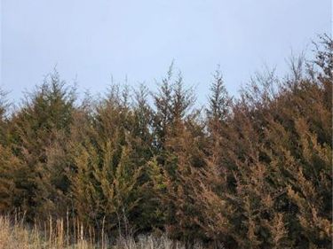 37 Silver Fox Trail, Linn Valley, KS 66040