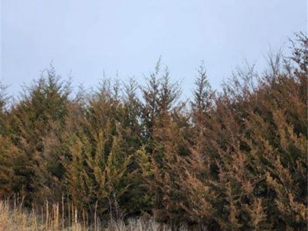 37 Silver Fox Trail, Linn Valley, KS 66040