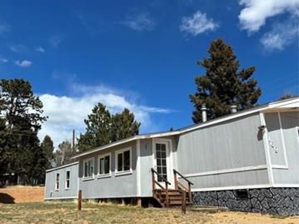 169 Daisy Street, Woodland Park, CO 80863