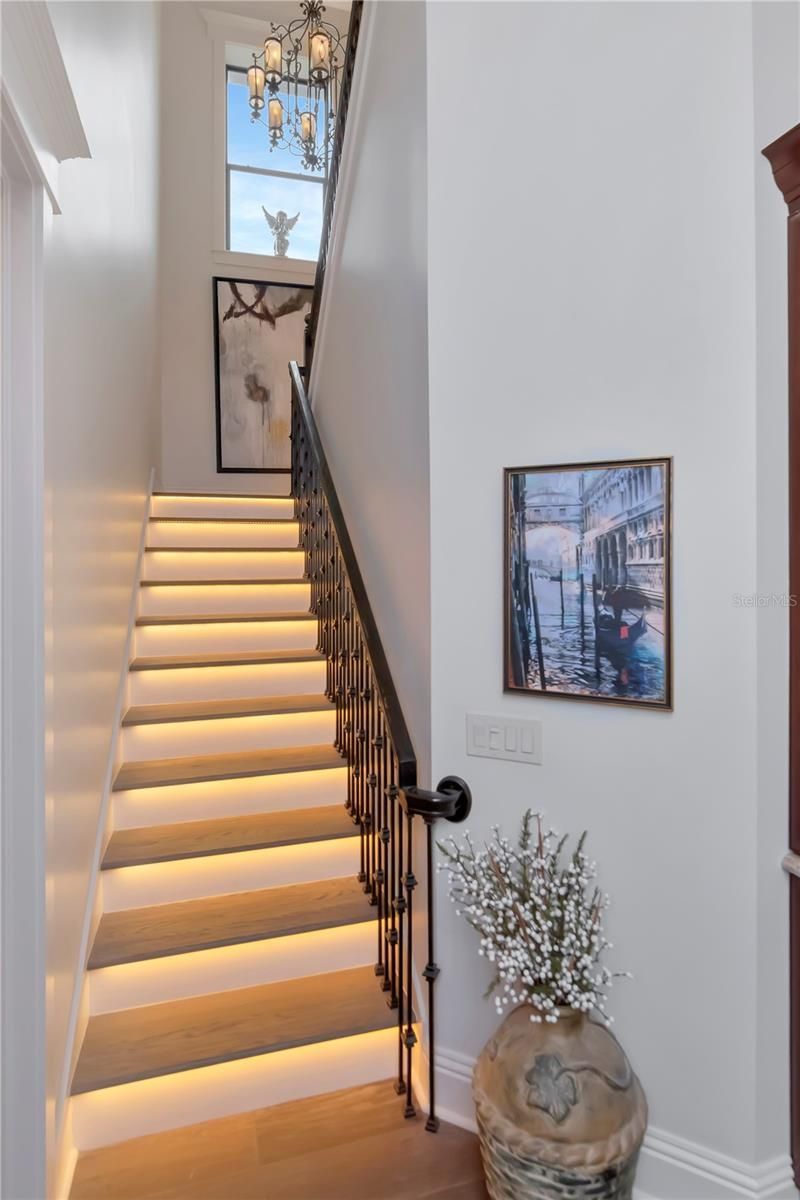 4109 Preserve Forest Drive, Tampa, FL 33618 Photo