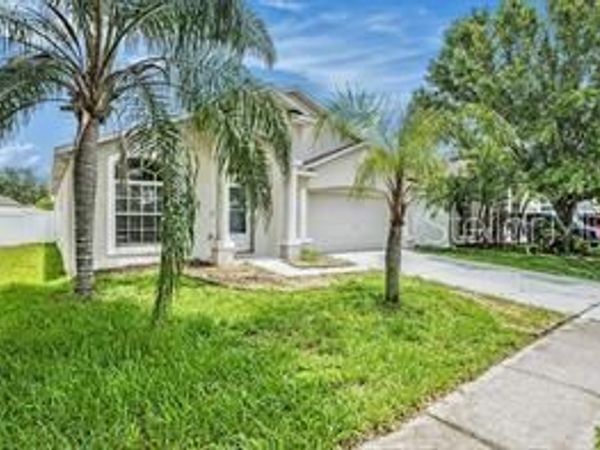 10039 CREEK BLUFF DRIVE , RIVERVIEW, FL 33578