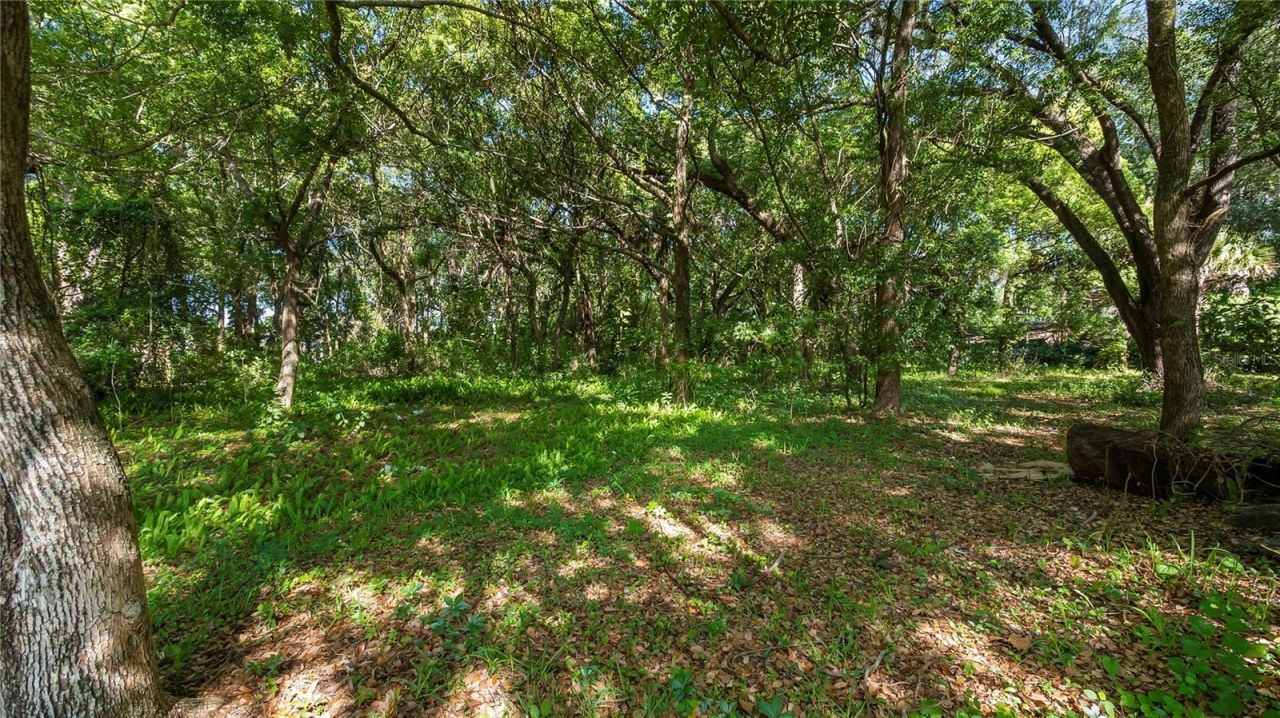 1500 N Hoagland Boulevard , Kissimmee, FL 34741 Photo