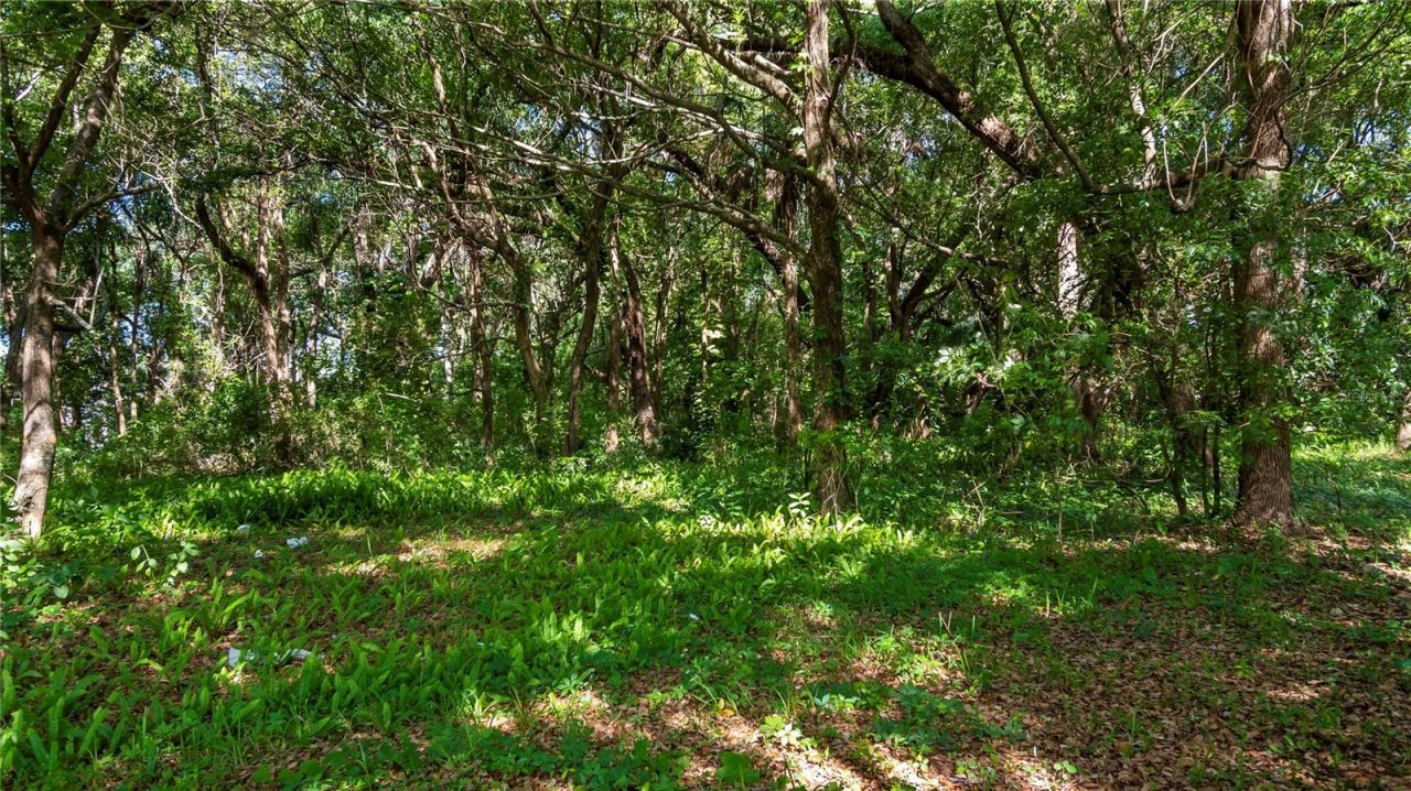 1500 N Hoagland Boulevard , Kissimmee, FL 34741 Photo