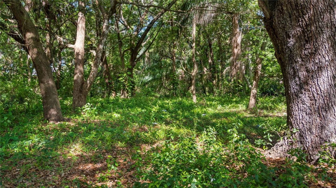 1500 N Hoagland Boulevard , Kissimmee, FL 34741 Photo