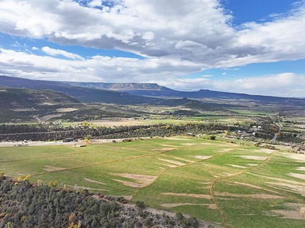 12482 54 7/10 Road, Molina, CO 81646