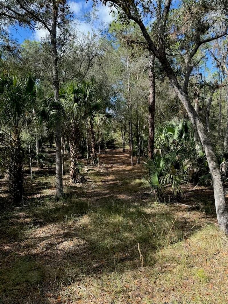 1040 Cracker Hammock, Sebring, FL 33875 Photo