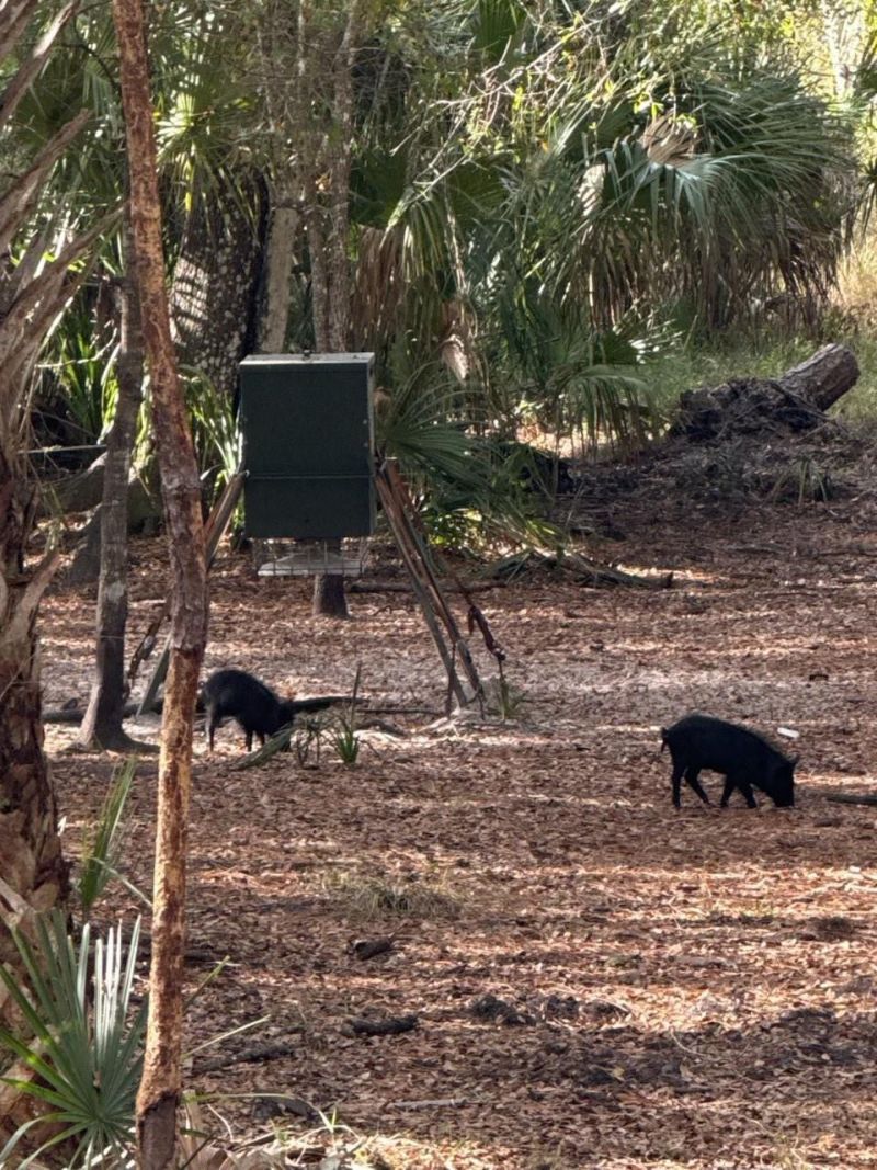 1040 Cracker Hammock, Sebring, FL 33875 Photo