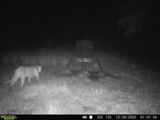 1040 Cracker Hammock, Sebring, FL 33875 Photo