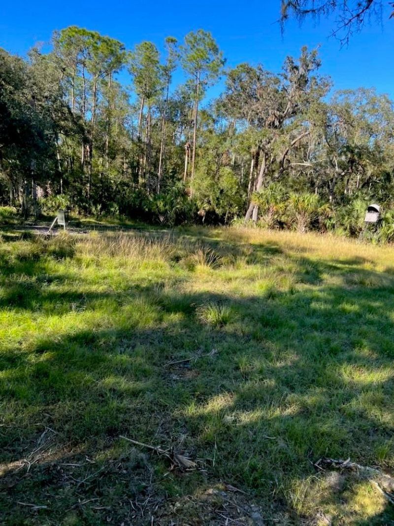 1040 Cracker Hammock, Sebring, FL 33875 Photo