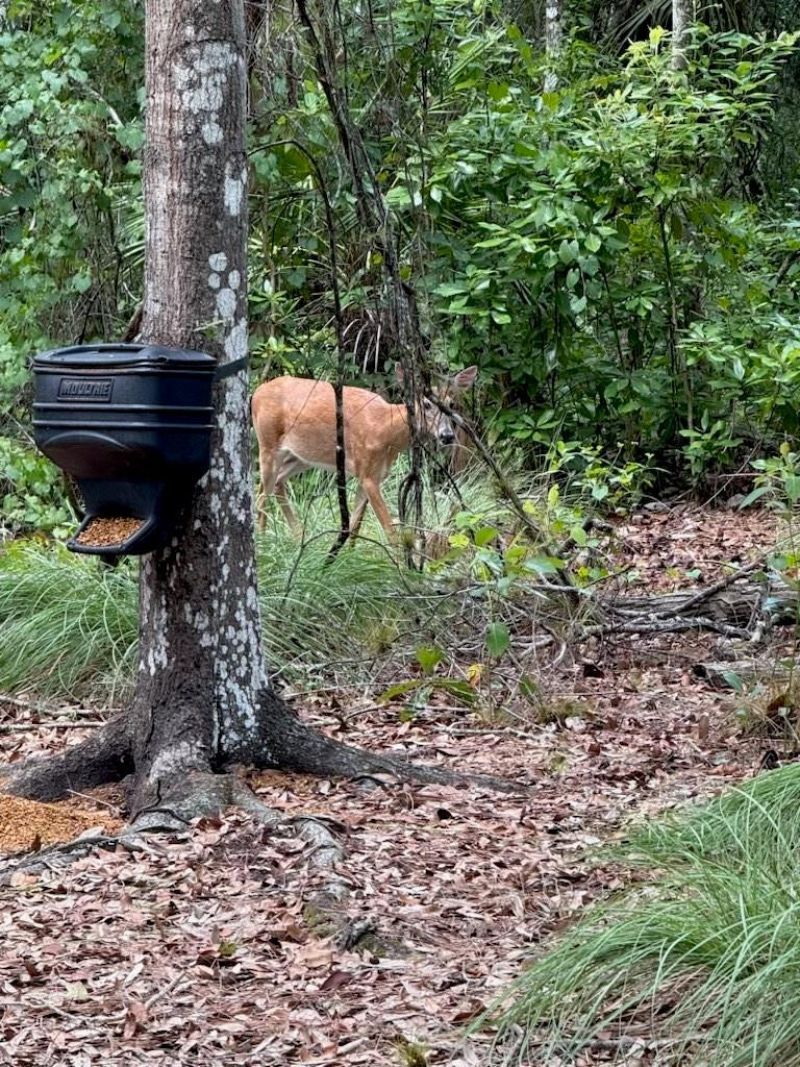 1040 Cracker Hammock, Sebring, FL 33875 Photo