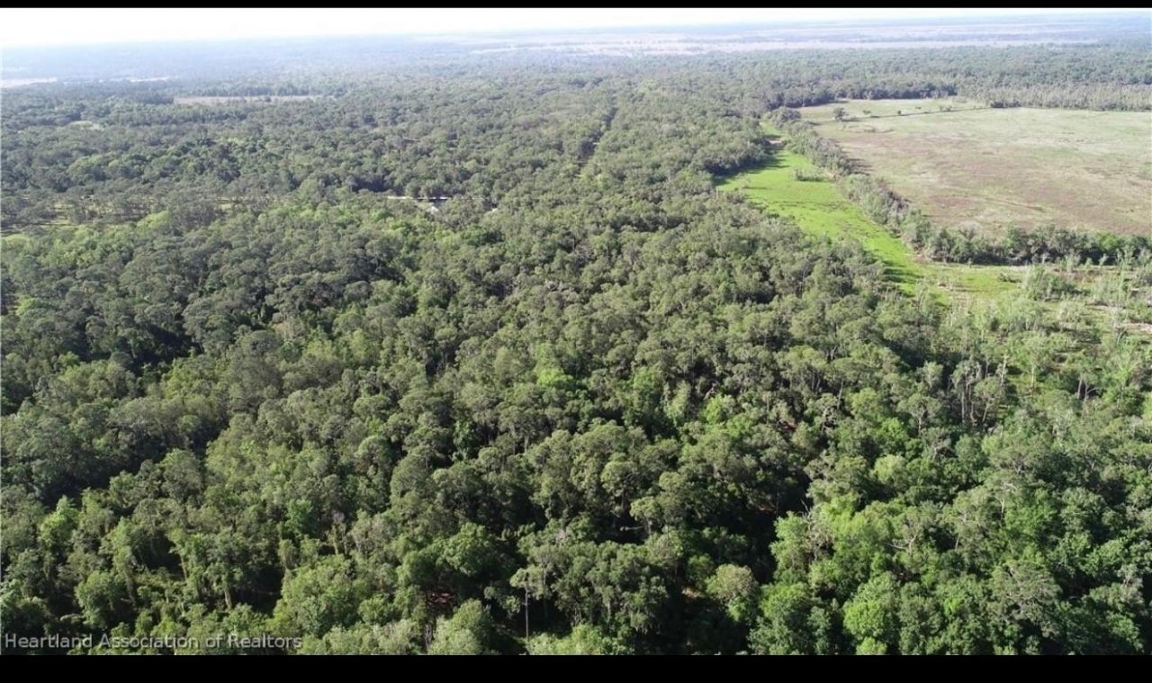 1040 Cracker Hammock, Sebring, FL 33875 Photo