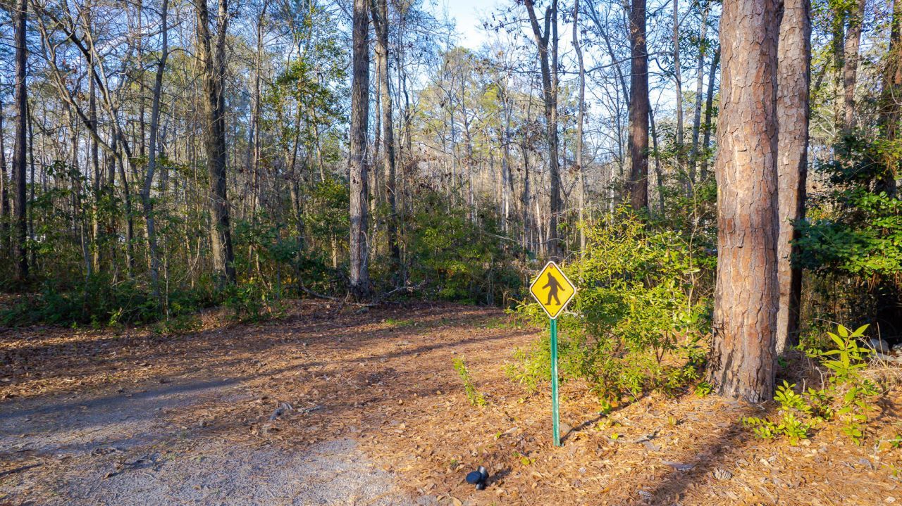 1644 Ranger Drive Photo 37