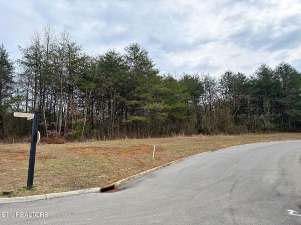 Lot 93 Red Wing Drive, Vonore, TN 37885