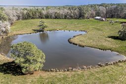 1100 Page Derrick Road  photo 4