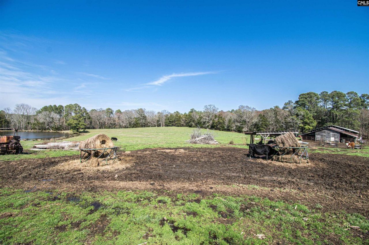 1100 Page Derrick Road  Photo 20