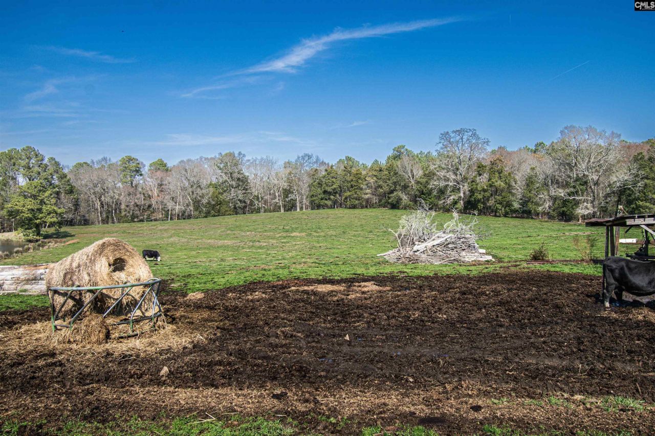 1100 Page Derrick Road  Photo 21