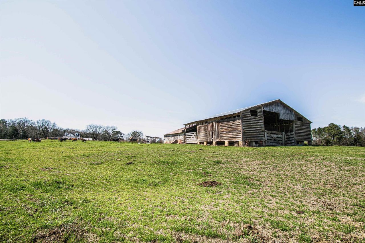 1100 Page Derrick Road  Photo 6