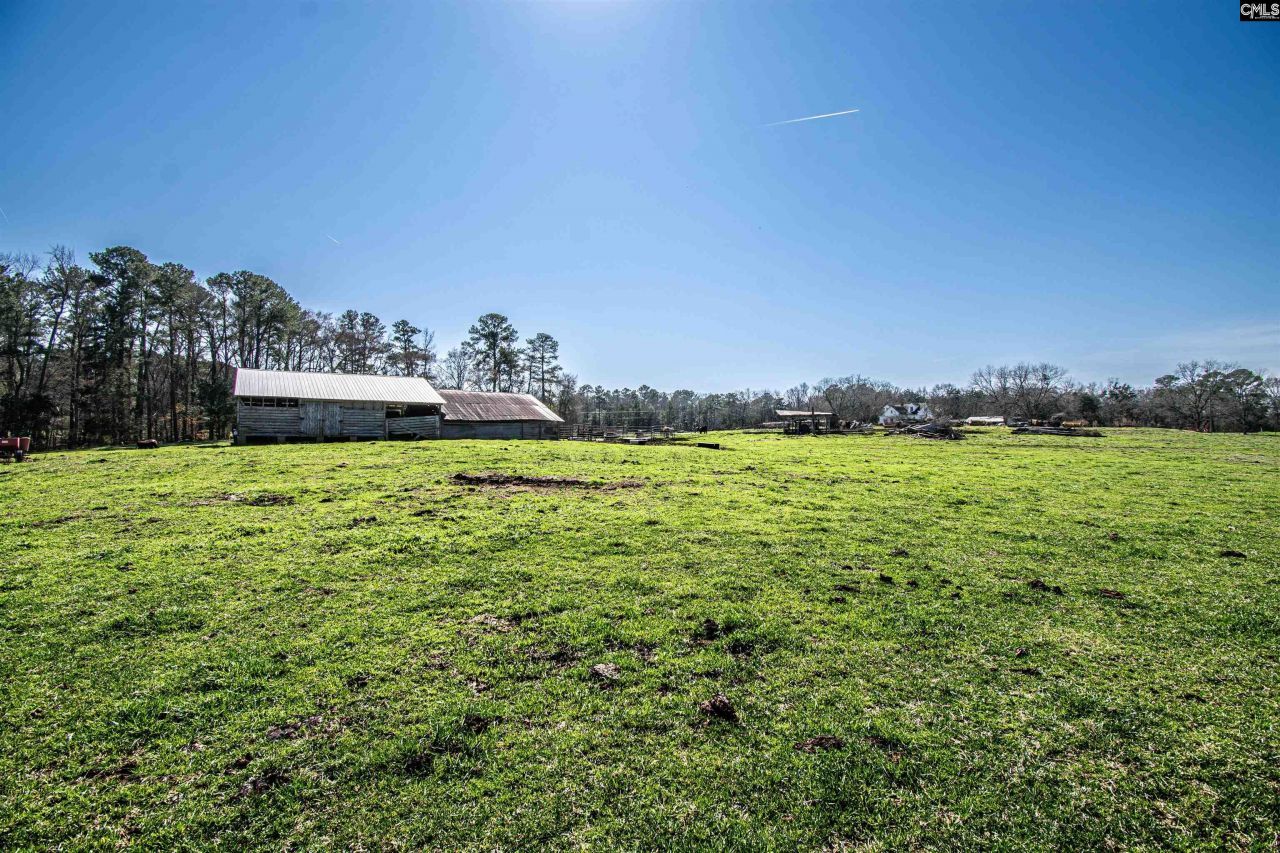 1100 Page Derrick Road  Photo 9